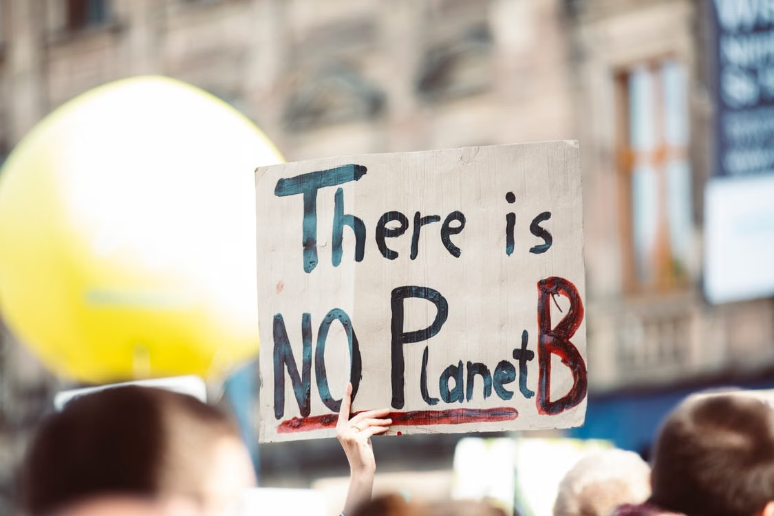 Protester holding a hand-painted sign reading There is No Planet B